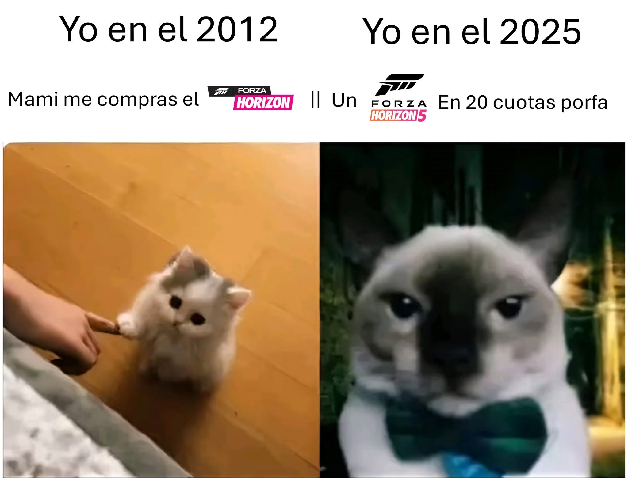 486809985 678237271401911 5175275066282679493 n